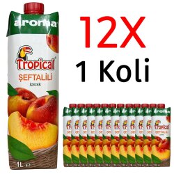 AROMA TROPİCAL TETRA 1 LT.ŞEFTALİ (12*) (60*) - 2