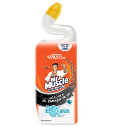 MR MUSCLE TUVALET GÜCÜ 750ML - MR MUSCLE