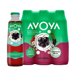 AVOYA MEYVELI PAPATYA FRENK ÜZÜMLÜ 200 ML - 2