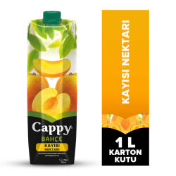 Cappy 1/1 Kayısı - CAPPY