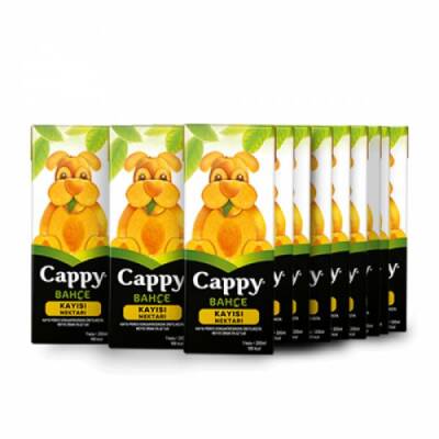 Cappy Cappy 1/5 Kayısı x27 Ürün Görseli