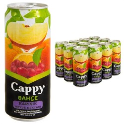 CAPPY 330 ML. KUTU KARİŞIK (12) - 2