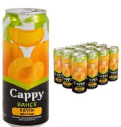 Cappy 330 Ml. Kutu Kayısı x12 - 3