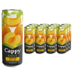 Cappy 330 Ml. Kutu Kayısı x12 - 2