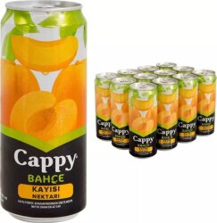 CAPPY 330 ML. KUTU ŞEFTALİ (12) - 2