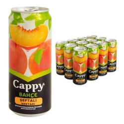 CAPPY 330 ML. KUTU ŞEFTALİ (12) - 2