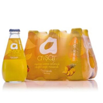 Avşar Avşar 200 Ml. Mango Ananas x24 Ürün Görseli