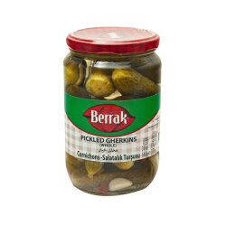 BERRAK SAL.TURŞ.NO:2 670 GR CAM (1*)(12*) - 