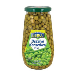 BURCU BEZELYE 570 GR CAM - 