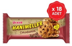 ÜLKER HANIMELLER ÇOKODAMLA 82 GR (18) - ÜLKER