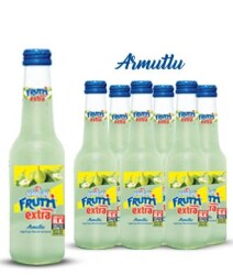 ULUDAĞ FRUTTİ EXTRA 250 ML.ARMUT (*6) - ULUDAĞ